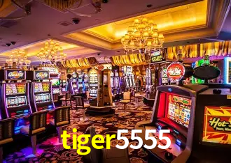 tiger5555 Brasília - Casino Guide