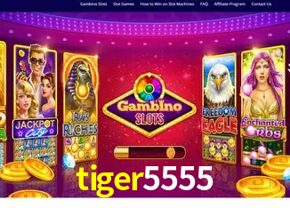 tiger5555 São Paulo - All Bonuses