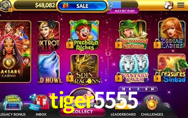 A Experiência Imersiva dos Cassinos Ao Vivo no tiger5555