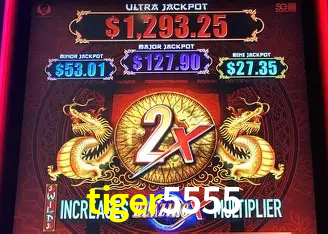 tiger5555 Curitiba - Live Status